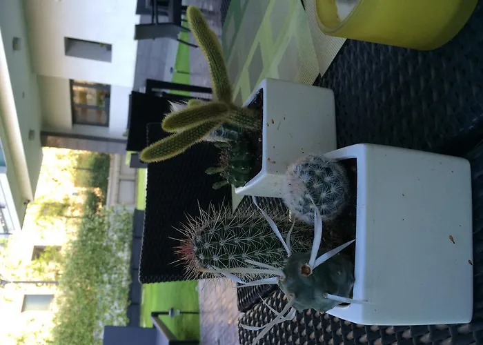 Acca Palace - Aa Μιλάνο